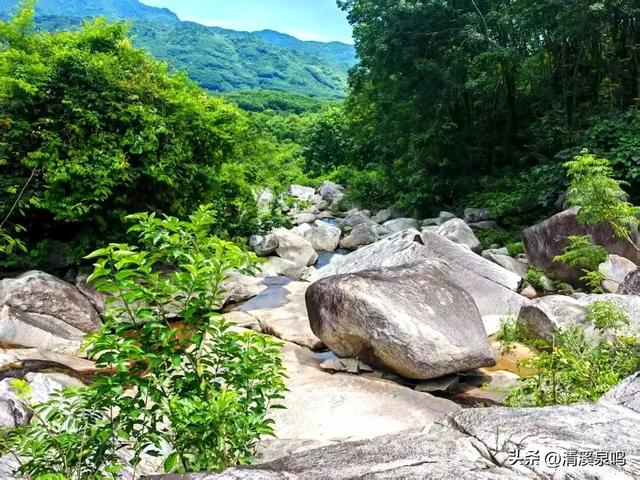 凤凰蛋石寄心愁