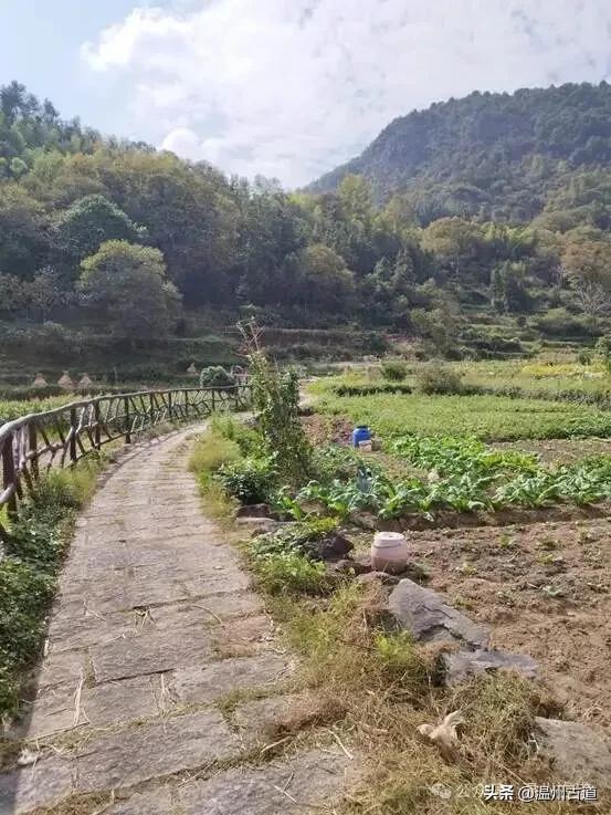 温州著名的红色古村,深藏岁月深处的浙南革命印记,值得你来
