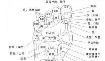 古法晨练法精髓 就练这几个! 让你龙精虎猛！