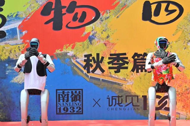 两日精彩！沉浸式生态美学重构城市文旅新范式