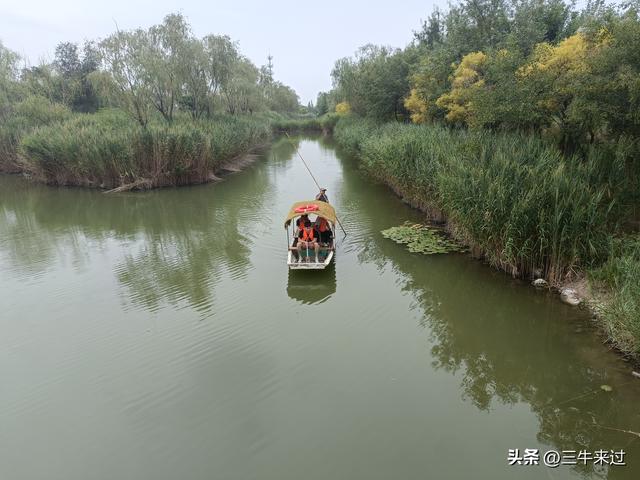 无为在歧路，2025之经行