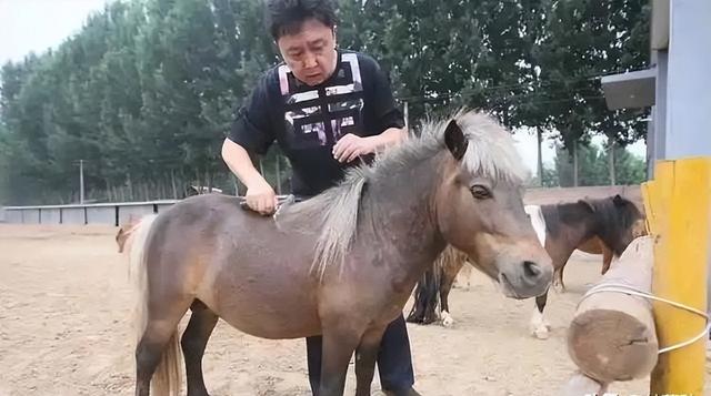 不查不知道一查吓一跳，坐拥北京60亩马场的于谦，私下到底有多壕