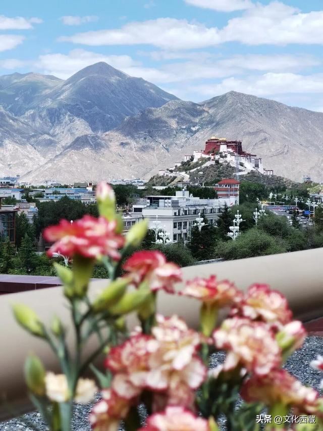 到拉萨不来这儿糊涂啊！逛完这里，你才算真的懂西藏！