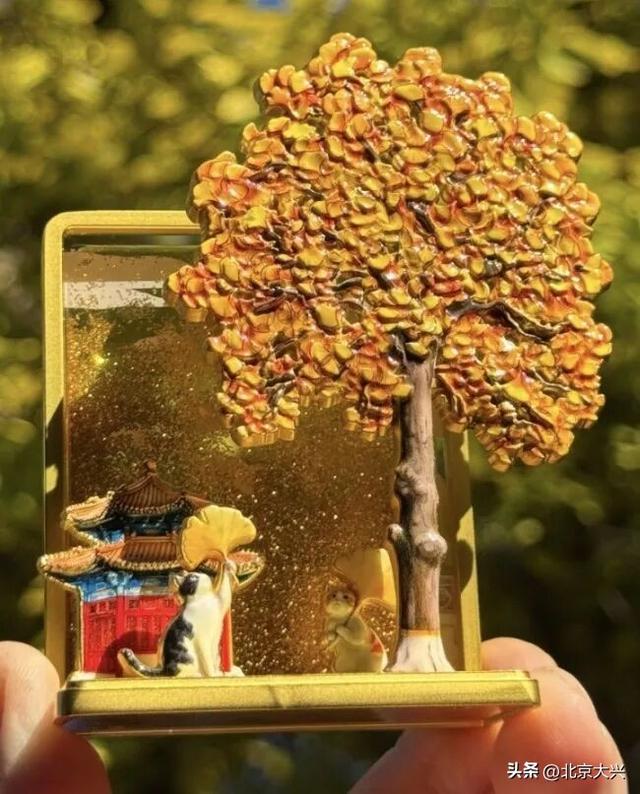 绝美！北京秋季颜值已达巅峰！这样定格最美秋天！