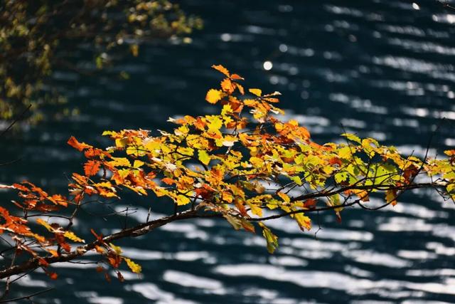 天池「初妆」，素颜静好