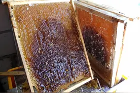 十年前央视就曝光的假货，比地沟油还毒！如今仍存在，你家有吗？图片