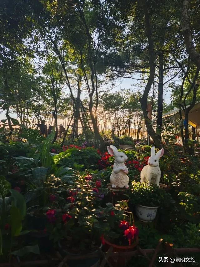 走进西山团结街道，感受藏在时光褶皱里的诗与闲