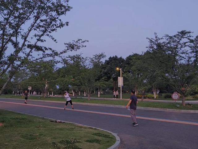 空调续命？也可夜游仙林