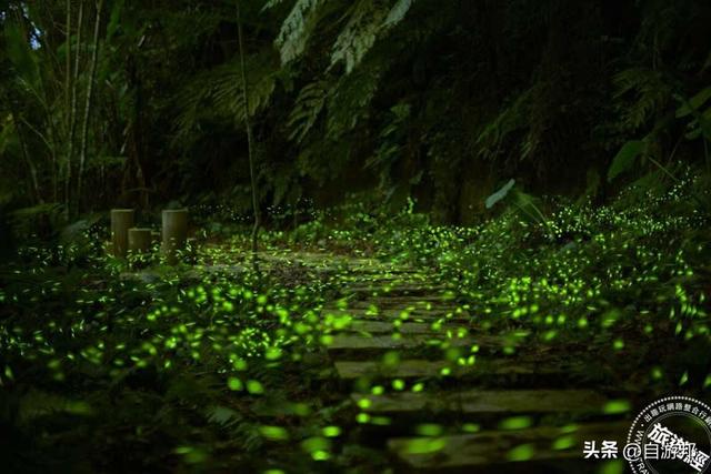 和美山碧潭水陆绿色生态旅游 摆渡赏萤趣