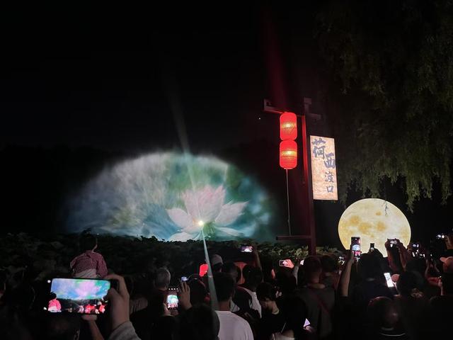 优雅别致荷花开，一场夏日的诗意邂逅