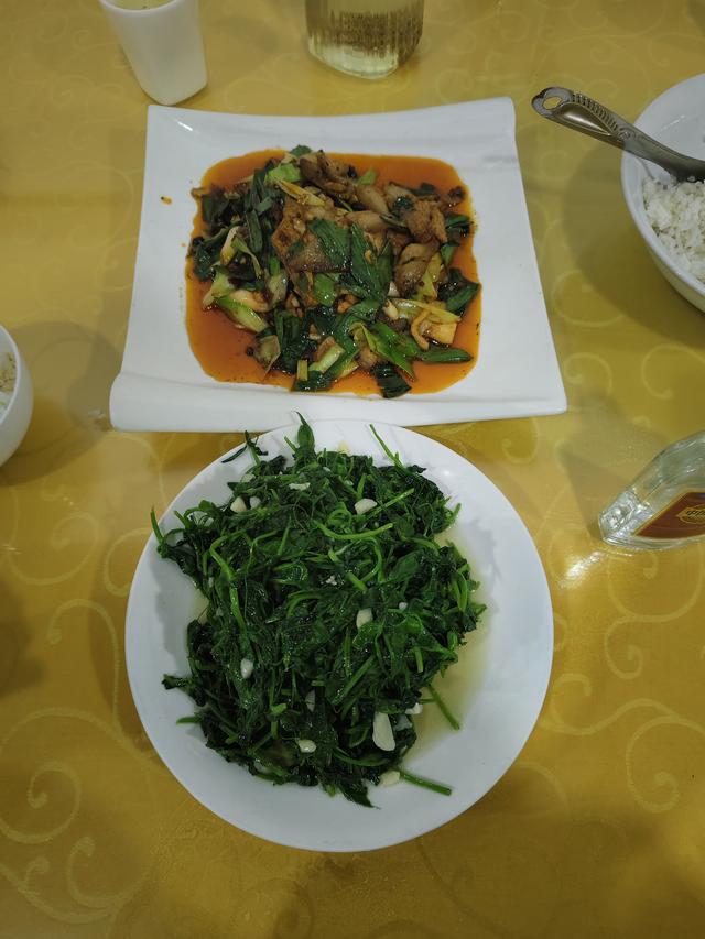 南行漫记：汉中南郑区到巴中恩阳区，9小时233公里的行走路书