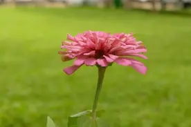 父母过世后的头几年，兄弟姐妹要懂得：家有三不动，越不动越有福图片