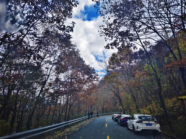 南行漫记：329公里的穿越之路，带你一起看红叶