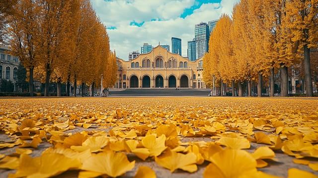 不藏了，推荐天津5个秋色仙境，最后一个惊艳了百年时光！