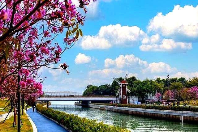 湖南杀出黑马！益阳慢生活，治愈了我的心！