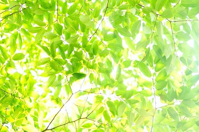 与其为孩子焦虑，不如让他自渡自愈：给父母们的三个掏心提醒
