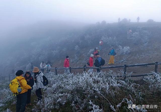 平天山美成了银装素裹的童话世界！贵港人：冷到发抖也要去
