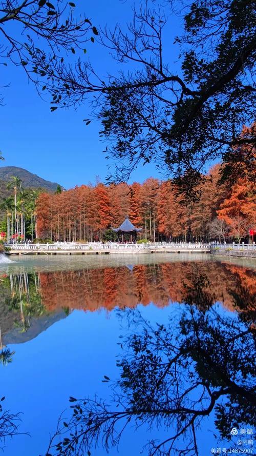 福州周边藏了个「秋日火焰山」！这5个红叶秘境，美成调色盘