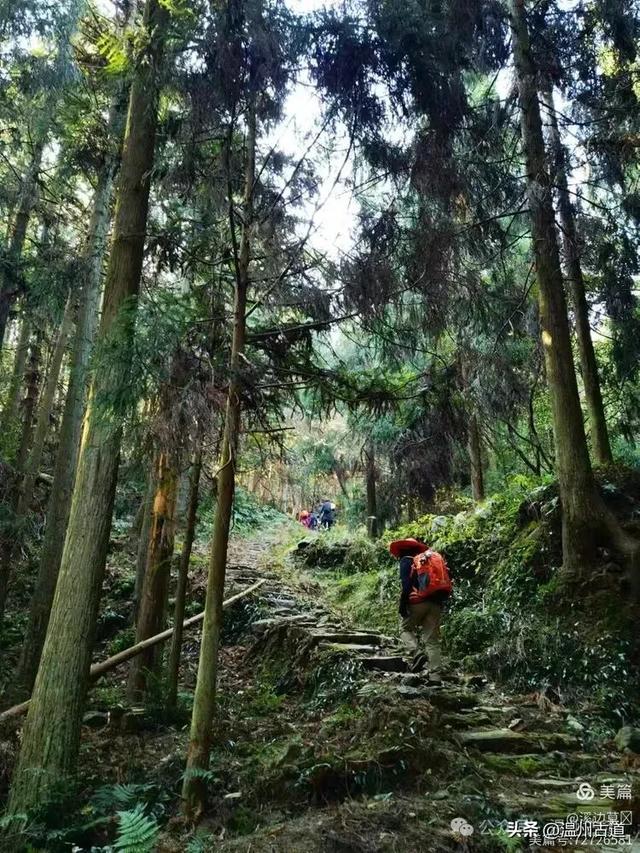 秋高气爽徒步季！温州这处有“小九华山”之称的奇秀山峰等你走起