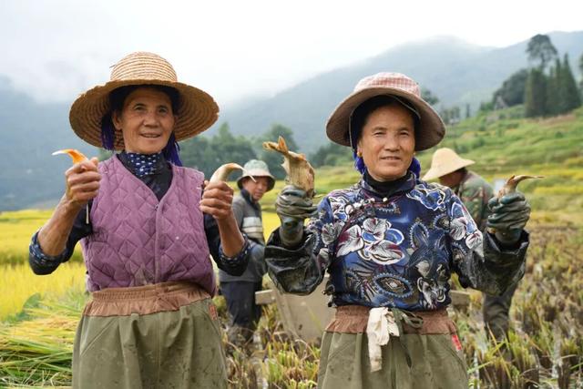 探秘“三遗产” | 哈尼梯田：不止绝美景观，生态服务守千年