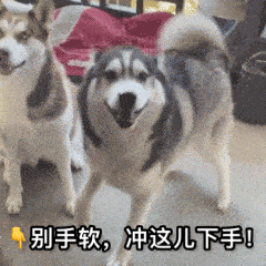 不想被调教了，终于有人教我怎么玩了？