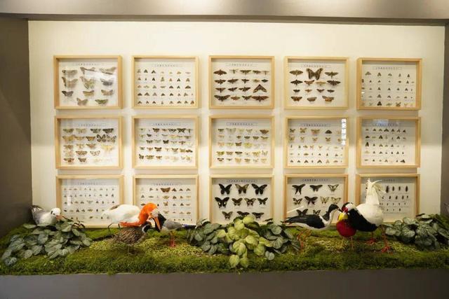 热度持续攀升！毕棚沟2025年度接待游客突破1200000！