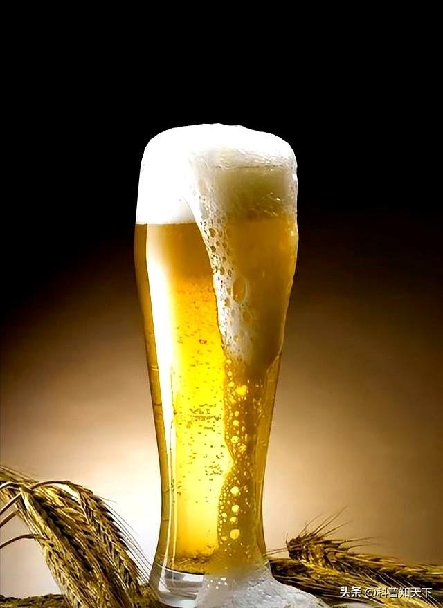 啤酒再次成为关注中心！医生发现：喝啤酒时，千万多留意这三点！