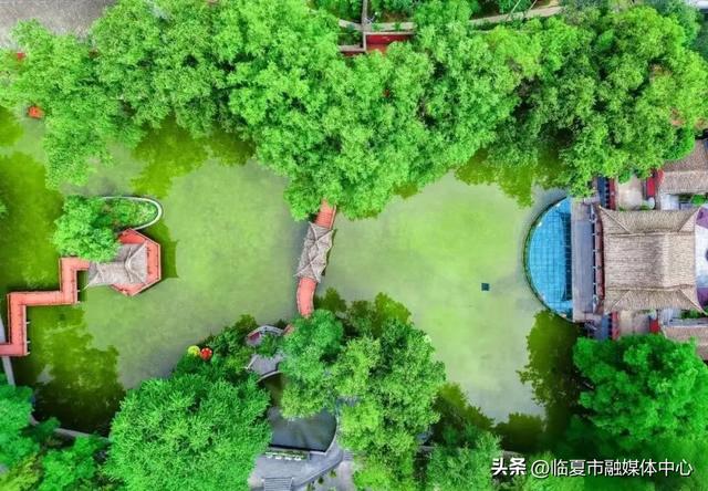 我想离开「浪浪山」，去临夏世界地质公园看看🥰