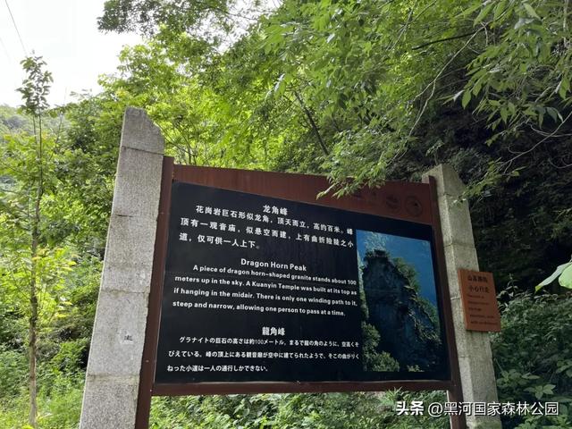 清风带凉意，最美是初秋，一键解锁黑河山水间的治愈美景！