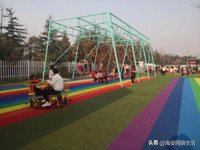 2025年海安云上森林超大规模网红粉黛花海+花海鹿群