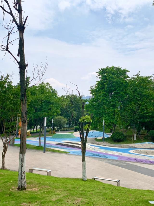 成都又一湿地公园走红！人少景美堪称 “台湾小垦丁”，门票全免费