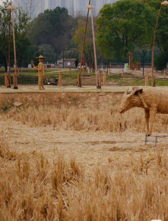 拒绝“冬懒”！鹰潭初冬运动指南：登山、骑行，在风景中唤醒活力【全球学子嘉游赣 奇绝鹰潭逍遥游】