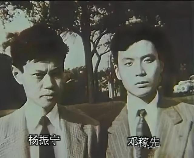 令人担忧的事还是发生，杨振宁离世仅4天，翁帆好友过往言论被扒