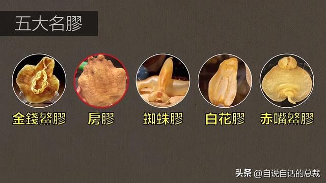 极品花胶价格 极品花胶价格走势