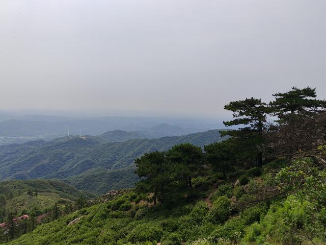 金鼎远望