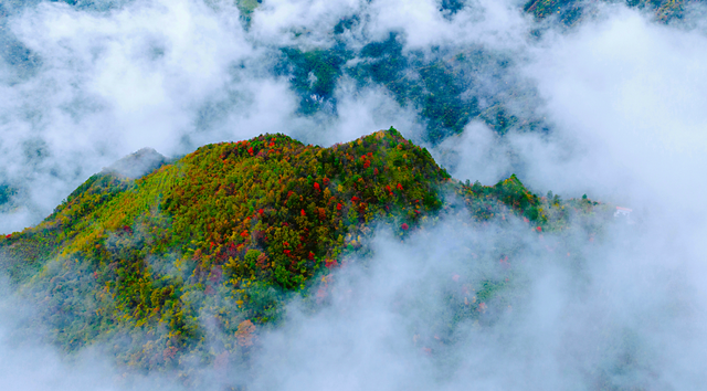 错过等一年！巴山大峡谷秋色刚开场，彩林已美成仙境！