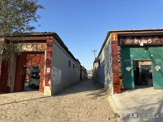 冠县乡韵·贾镇荆楼村