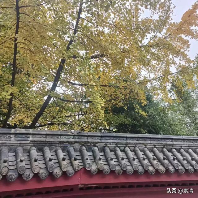 禅院寻静,峨眉的心灵之旅