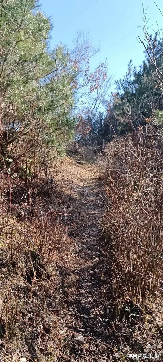 探秘楠溪江源头!这条海拔千米以上的草甸山脊只有极少数驴友知道