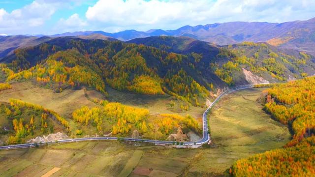 兰仓秋，染山河。