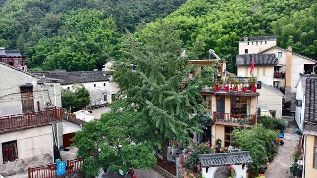 皖浙摩旅二人转——桐庐石舍村篇