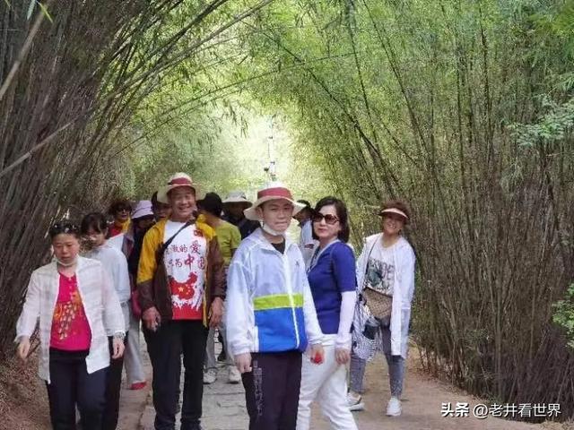西藏纪行（四）游卡定沟 文‖井明新