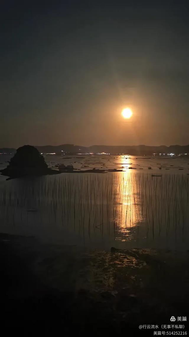 彩色旅图｜光影里的霞浦：滩涂、古树与渔排的诗意时光