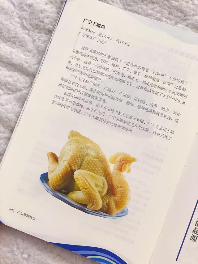 广东省博物馆官方打卡攻略来了