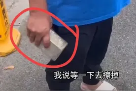 网络热议：车主怒砸狗子，谁之过？图片