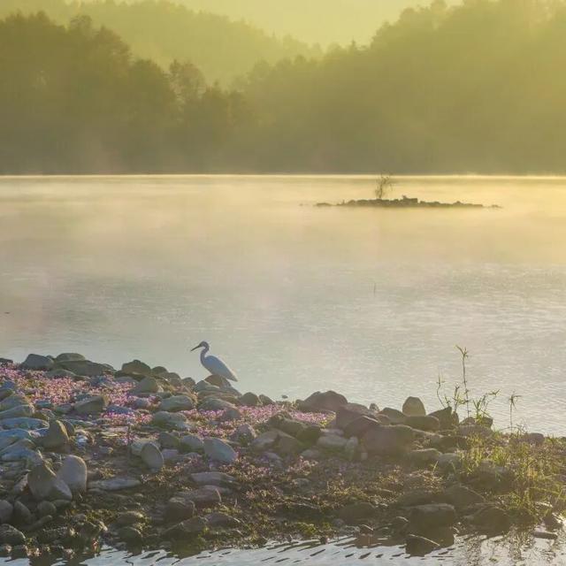 一眼心动的黟县：从天空之镜到落日霞光的全景漫游