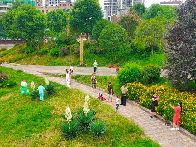 桐梓家门口的这些公园太好逛了→