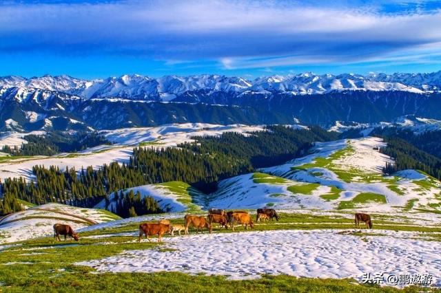 47岁贺娇龙去世！同学曝抢救过程，网友提醒成真	，此前疑早有征兆