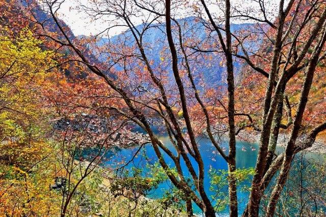 四川这个地方的初冬，是彩色的！