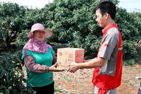 荔枝最快次晨达！京东快递2024荔枝寄递解决方案助产业升级图片